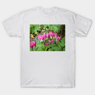 Bleeding Heart T-Shirt